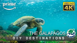 DIY Destinations (4K)  The Galapagos Budget Travel Show  | Full Episode  Season Finale