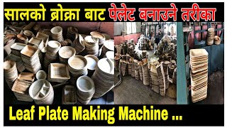 Salko Bokra Baata Plate Banaune Tarika || Leaf Plate Udyog In Nepal || leaf plate making machine