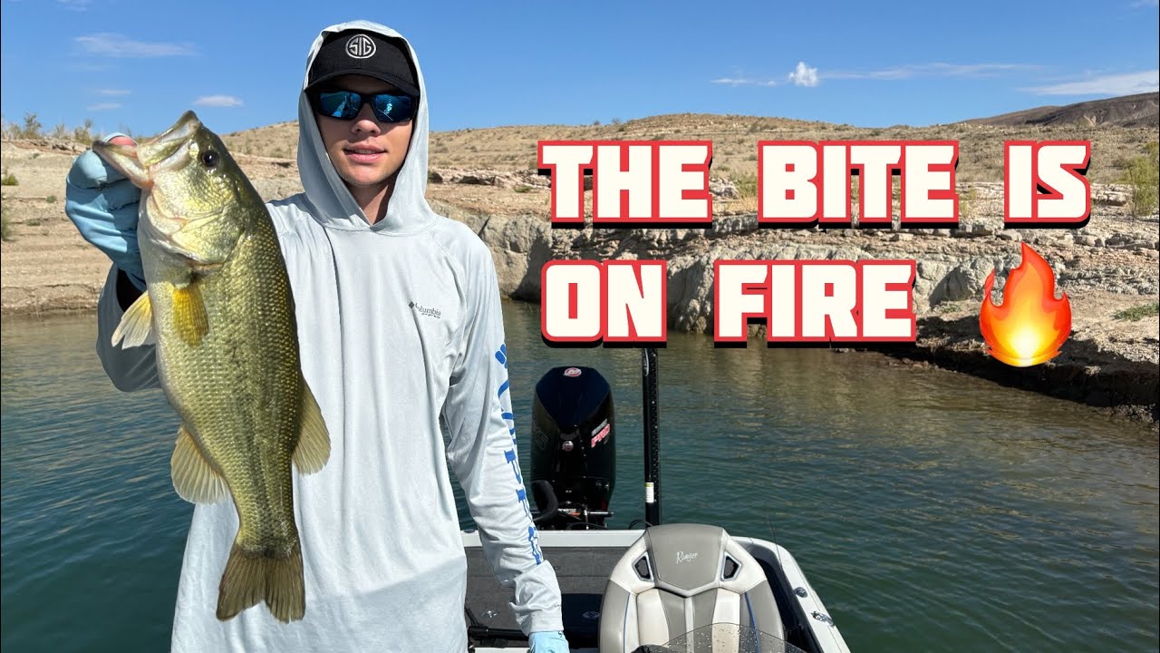 Bass Fishing in the HEAT on Lake Mead