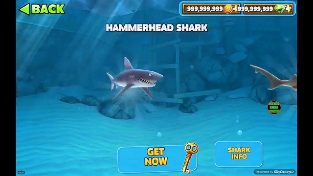 hack hungry shark evolution android