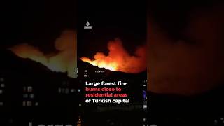 Large forest fire burns close to residential areas in Ankara