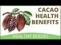 Cacao powder benefits  cacao bliss