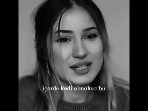 Video: Şimdi Gençlik Ne