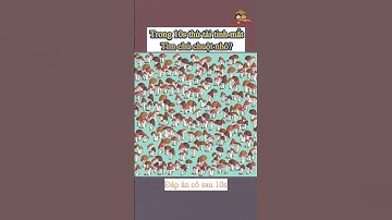 Mắt bạn có đủ tinh không!