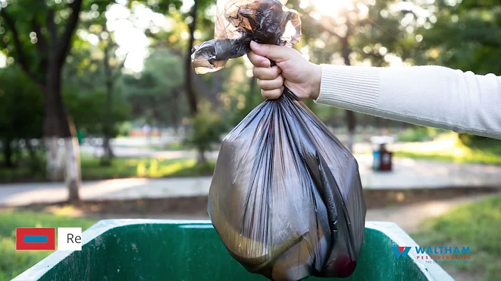 Bed Bug Treatment – 7 Steps to Preparing Your Apartment
