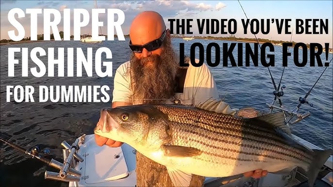 Striper Fishing Basics! How to catch freshwater Stripers. Lake