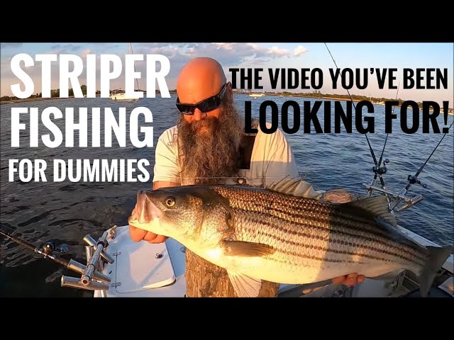 Striper fishing for Dummies! How to catch Striped Bass. Striper