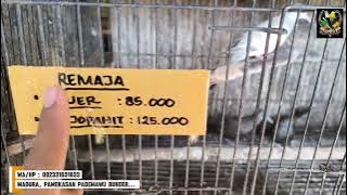 FIRST TRIP OF THE GACORAN CANARY AND AMBYAR ROLDOTAN....