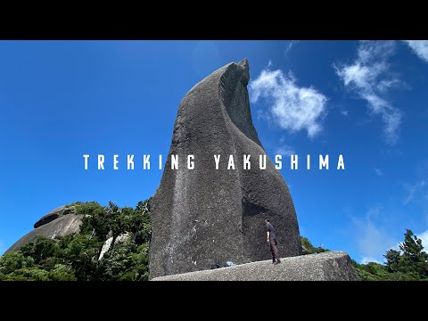 Vidéo: Parc national de Yakushima : le guide complet