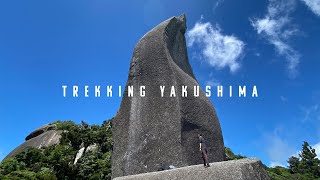 Trekking Yakushima in 4K - Japan's UNESCO world heritage -