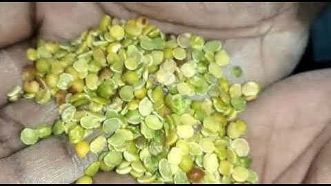 Tuvar dhal sorting machine by mark color sorting, Y.Abdul azeez 8220440623