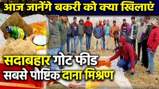 🐐Goat Farming Business में मोटा  कमाई करनी है तो बकरी को भी मोटा बनाना सीखो🐐How to Prepare Goat Feed