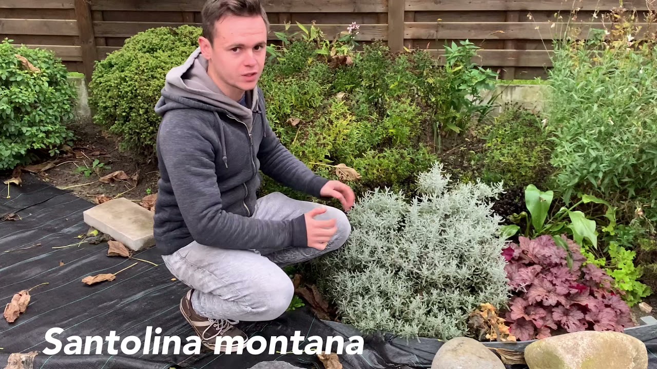 Tuto jardin: les persistants dans un jardin