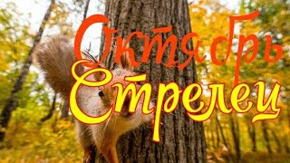 СТРЕЛЕЦ. ОКТЯБРЬ 2019. ТАРО-ПРОГНОЗ. СТРЕЛЕЦ. ОКТЯБРЬ 2019. ТАРО-ПРОГНОЗ.