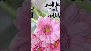 #صباحية #ادعية صور صباح الخير 🌸