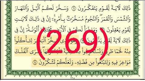 سورة النحل رقم الصفحة 269 مجود بصوت القارئ الشيخ أيمن سويد حفظه الله