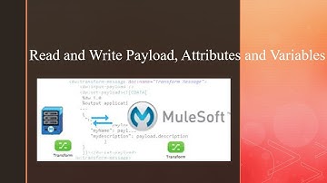 Mulesoft Tutorials | Read & Write payload, attributes & variables | Mulesoft Basics | NetBook | P08
