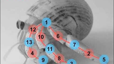 Grade 3 $1,000 Unsolved Problem.m4v