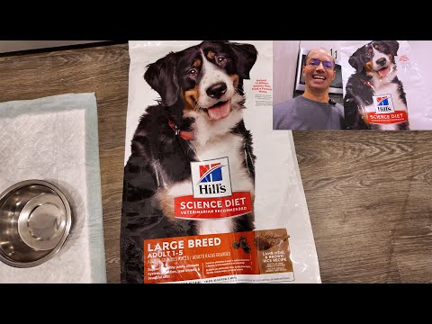 Hill S Science Diet Salmon Dog Food