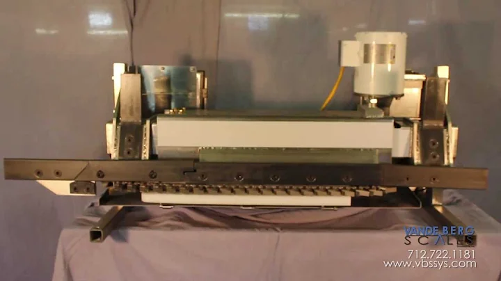 High Accuracy In Motion Monorail Scales by WeighMore®