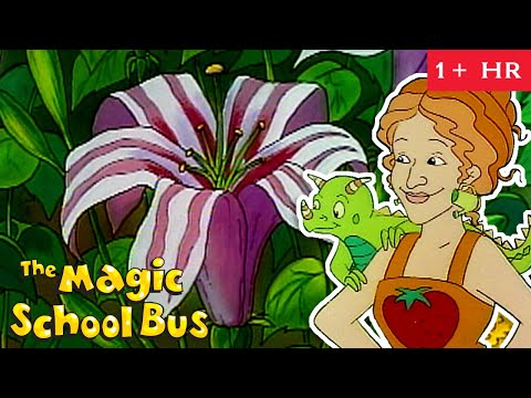 Summer in the Garden | Plant Biology | Full Episodes | The Magic School Bus | Scholastic Classic