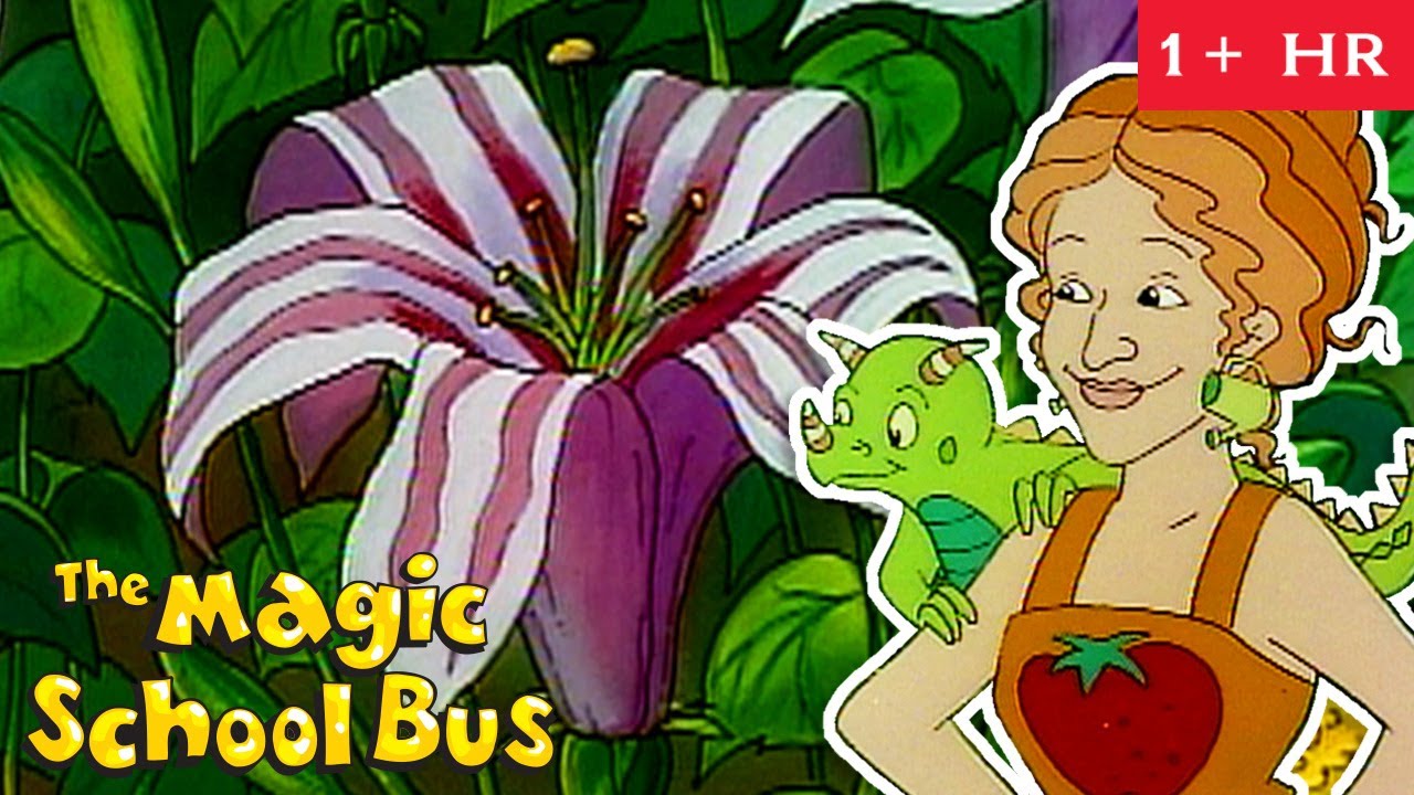Summer in the Garden | Plant Biology | Full Episodes | The Magic School Bus | Scholastic Classic