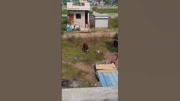 💫 सुंदरी💫