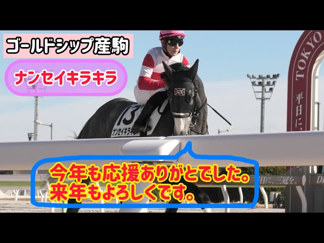 ゴールドシップ産駒】競馬民に年末のご挨拶をしながら馬場入場
