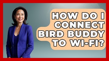 How Do I Connect Bird Buddy To Wi-Fi? - Bird Watching Diaries