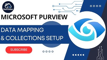 How to setup Microsoft Purview Data Mapping and RBAC for Collections