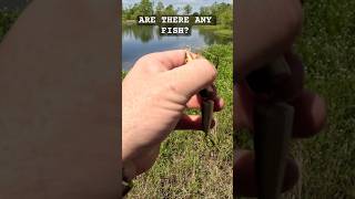 Starting to wonder about this pond…