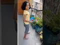 #shortsfeed #trending #tomato#garden#vegetables