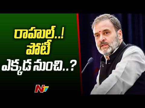 Rahul Gandhi To Contest From Karnataka Or Telangana | Congress | Ntv teluguvoice