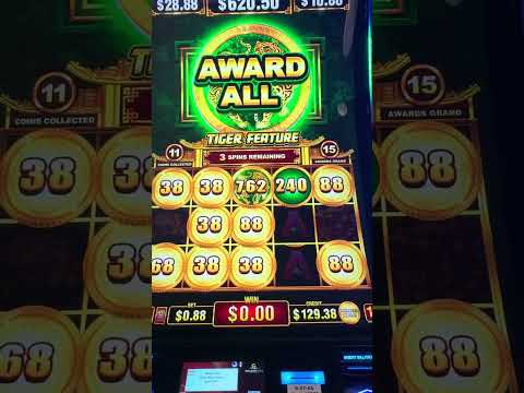 NEW!!! BUFFALO COIN TRIO WAS AMAZING!!! 🦬 BEST BUFFALO GAME YET!? Slot Machine (ARISTOCRAT GAMING)