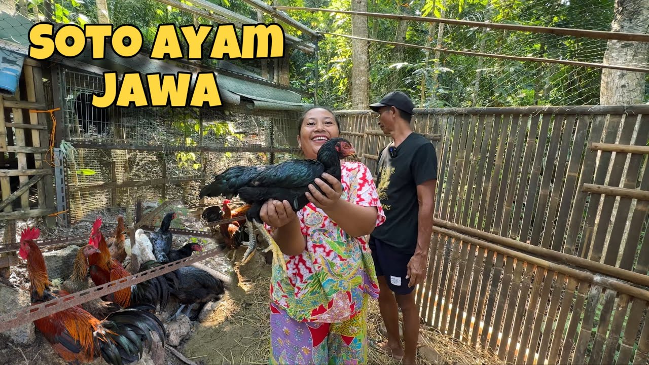 MASAK SOTO SEGER ALA BANUNG || AYAM JAWA PELIHARAAN