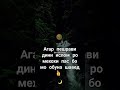 ДОМУЛЛО МУХАММАД ШАРИФ 