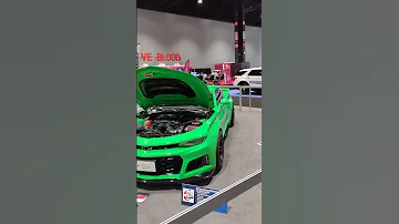 Nickey Camaro Corvette Dan 