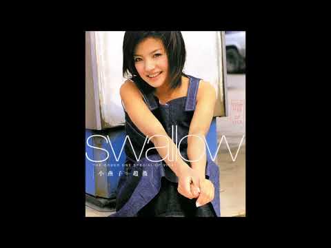 小燕子趙薇-瓶中信
