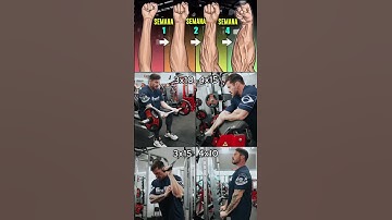 EXERCÍCIOS ANTEBRAÇO #edit #saúde #personaltrainer #dicas #muscle #musculação