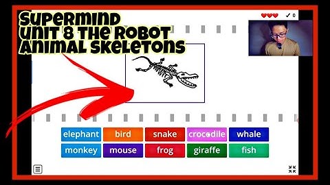 Supermind Year 2 | Unit 8 The robot | Animal skeletons (page 102)