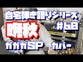 【自宅で弾き語り】晩秋【ガガガSPカバー】#60