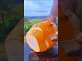 Coconut Skin Peeling ASMR | Most Relaxing Sreeet Sound #asmr #coconut #cuttingasmr