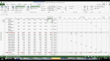 Navigating in Microsoft Project (Part 8)