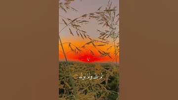 سورة إلاخلاص الشيخ سعد الغامدي