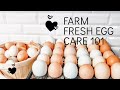 How to Clean Farm Fresh Eggs!