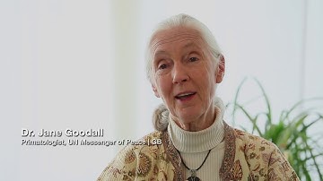 Jane Goodall - Message of Hope