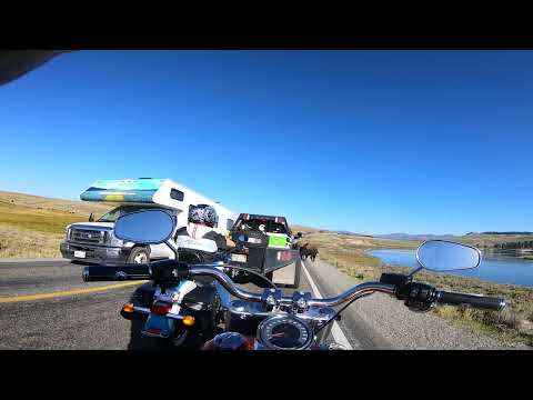 Yellowstone Bison vs Biker -   He just kicked my bike!!!