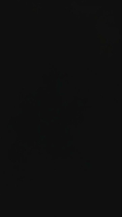 story wa complicated Dimitri Vegas and like Mike