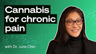 Medizinisches Cannabis bei chronischen Schmerzen: Ein natürlicher Weg zu dauerhafter Linderung