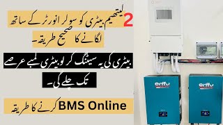 How To Communicate Two Lithium Batteries To One Inverter Using JK BMS | Off-Grid Guide